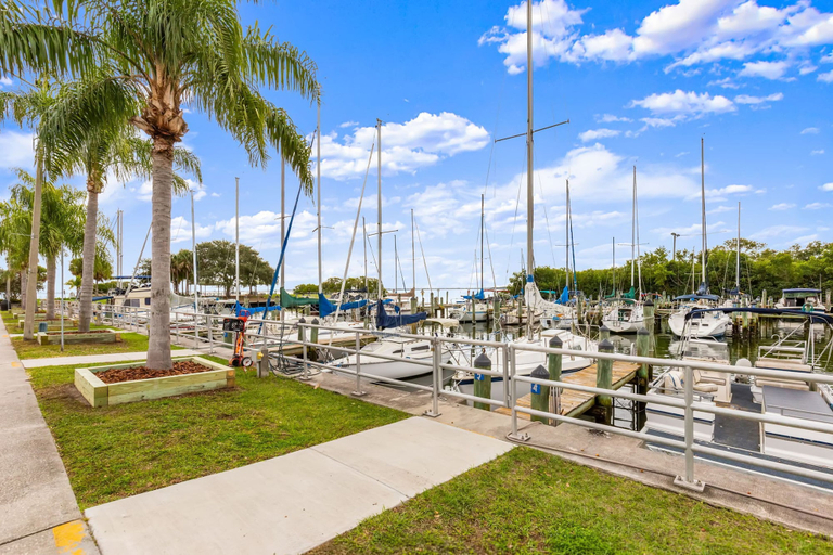 Room 2, NEW Canopy Cabana Luxury Downtown Apt, Pinellas