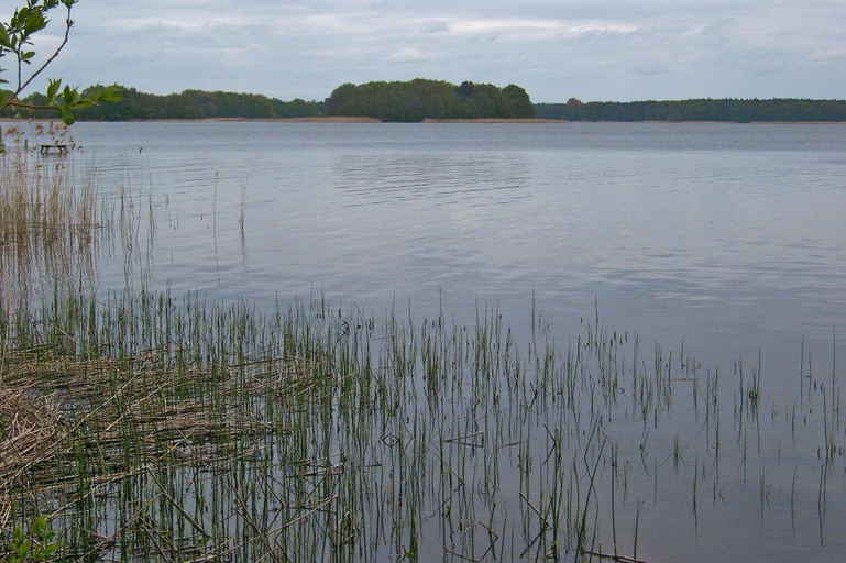 View from property 5, Holiday House at the Useriner See, Userin, Mecklenburgische Seenplatte