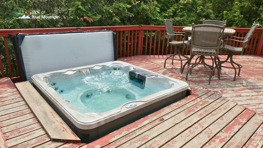 Sport & Beauty, 5 Bedrooms, Mountain Views, Steps from Blue Mountain Village, Hot Tub, BBQ, Grey