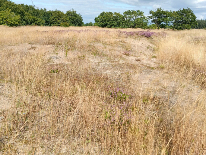 View from property 4, Ferienhaus in Neukirchen Nahe Sylt Strand, Nordfriesland