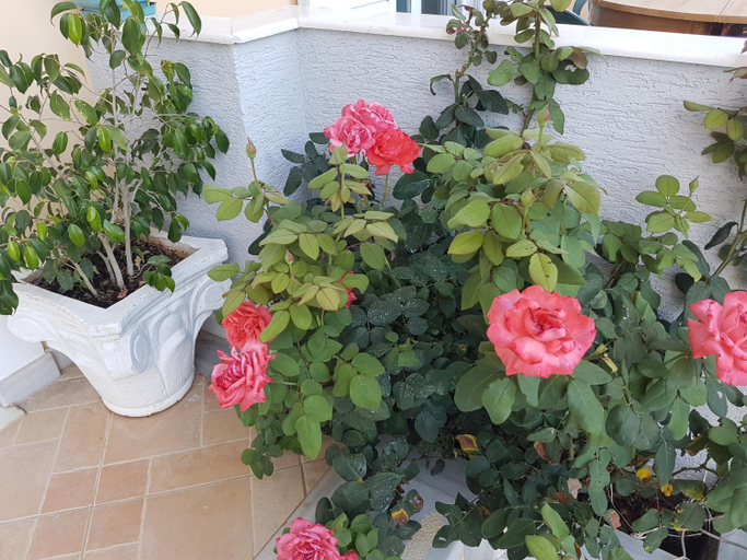 Others 1, Villa Xani, Vlorës