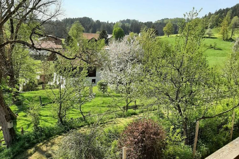 View from property 2, Ferienwohnung in Viechtach, Regen