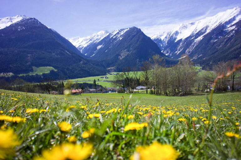Others 5, Apartment in Hohe Tauern Near Wildkogel Arena, Zell am See