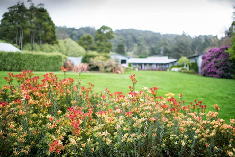 Others 4, Panorama Retreat Resort, Yarra Ranges - Dandenongs