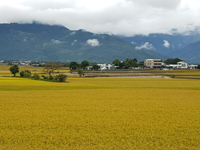 Others 4, Fire B&B, Taitung