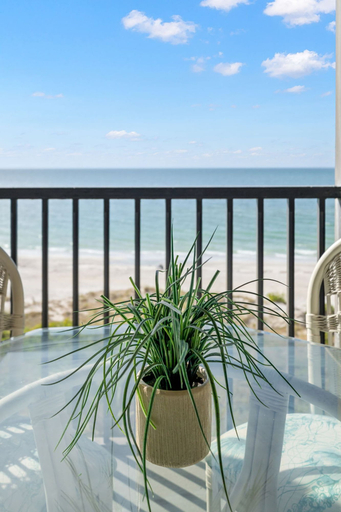 Room 4, Reflections 503 Oceanfront Pool Hot Tub, Pinellas