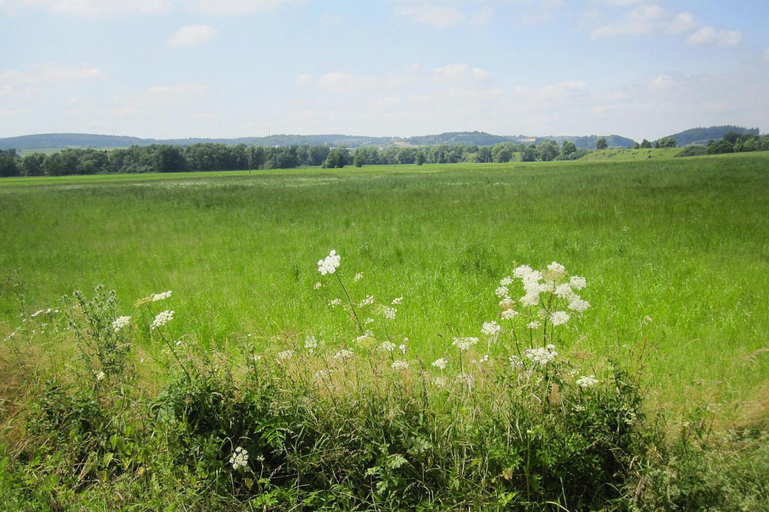 View from property 4, Apartment in Eifel With Terrace and Nature, Vulkaneifel