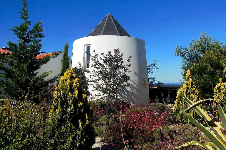 Exterior & Views 1, Salgadinho Casa de Campo & Selao da Eira Velha, Odemira