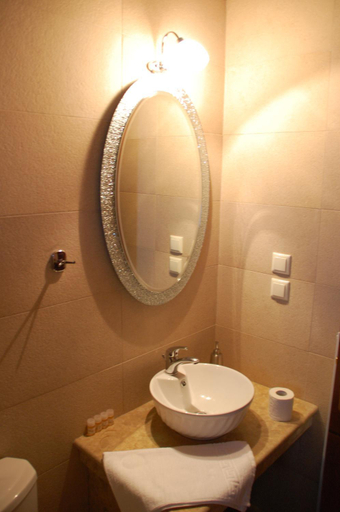 Bathroom, Ipsivaton Mountain Resort, Thessaly