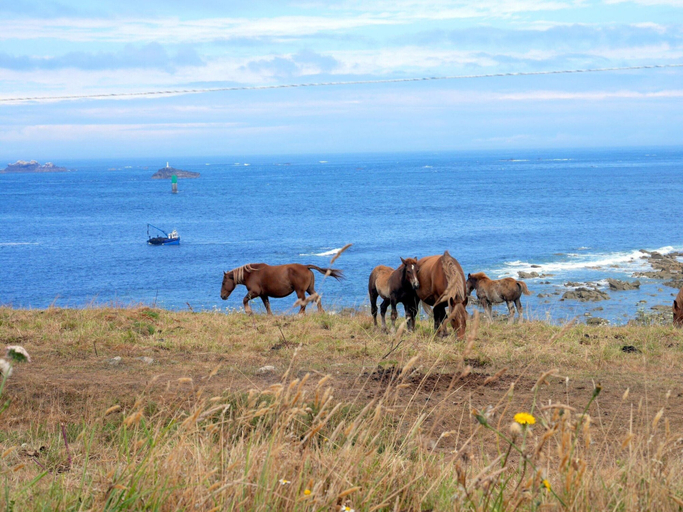 View from property 2, Holiday Home in Plouarzel Near Sandy Cove, Finistère