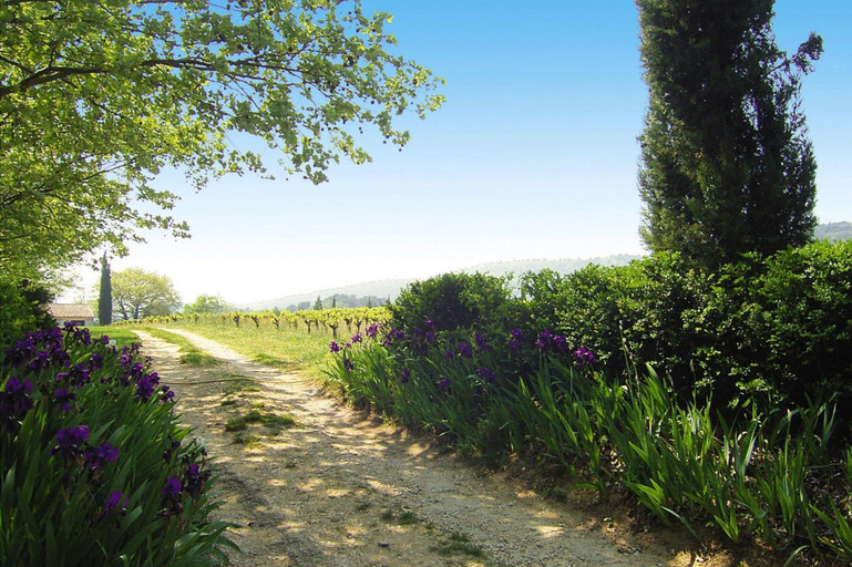 Garden 3, Charming Country House With Garden, Gard