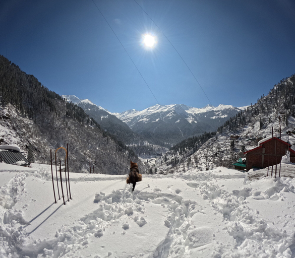 Others 4, The FullMoon Cafe, Kullu