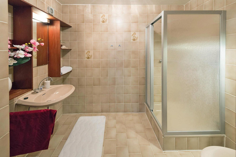 Bathroom 3, Ferienanlage Backerwiese in Neuschonau, Freyung-Grafenau