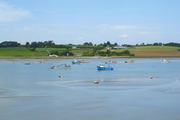 View from property 3, Beautiful Quiet Holiday Home, Close to the Beach, Morbihan