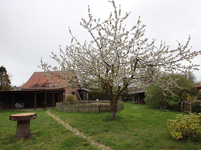 Garden, Ferienhaus in Wittendtsrp OT Pogress, Ludwigslust-Parchim