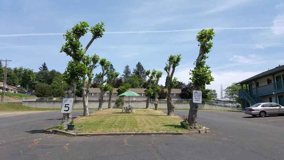 Others 5, Safari Inn Motel, Douglas