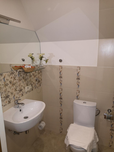 Others 5, Hotel Senlici, Jelgava