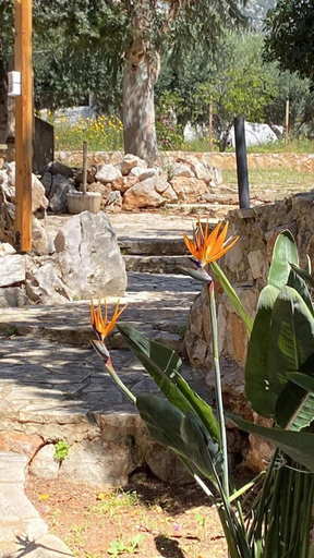 Room 3, Garden Studio by the sea, Peloponnese