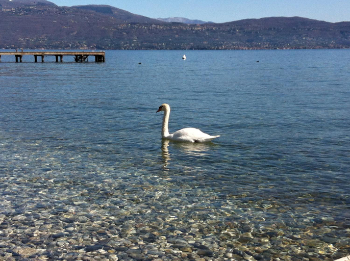 Others 5, Bed&Breakfast Giardini di Corte, Brescia