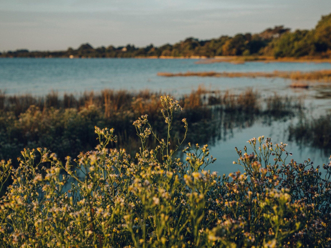 View from property 4, Residence La Voile D'or, L'ile-aux-moines, Morbihan