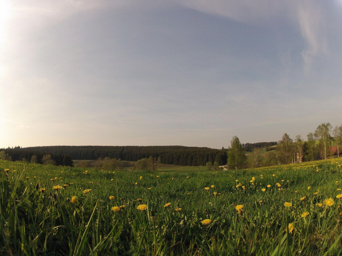 View from property 2, Doppelhaushalfte in Hasselfelde, Harz