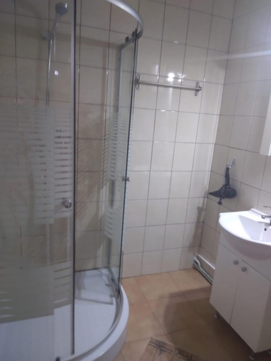 Bathroom 2, Pensiunea Bujor de Munte, Cartisoara