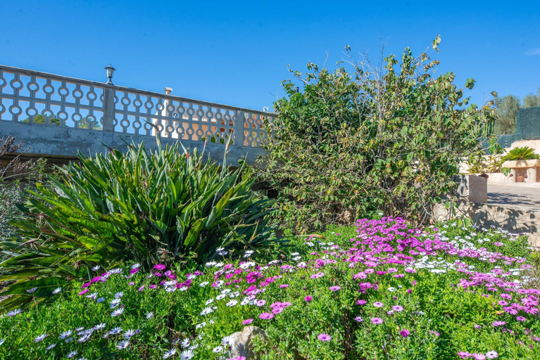 Room 4, Vista Sol in Ariany With 2 Bedrooms and 1 Bathrooms, Baleares