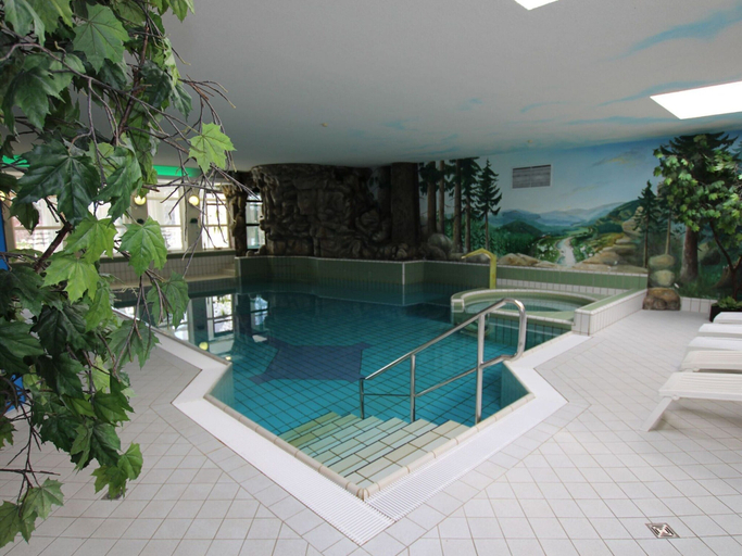 Pool, Ferienhaus , Tanne, Harz
