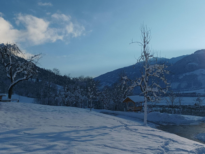 Others 5, Holiday on an organic farm in Hart im Zillertal, Schwaz