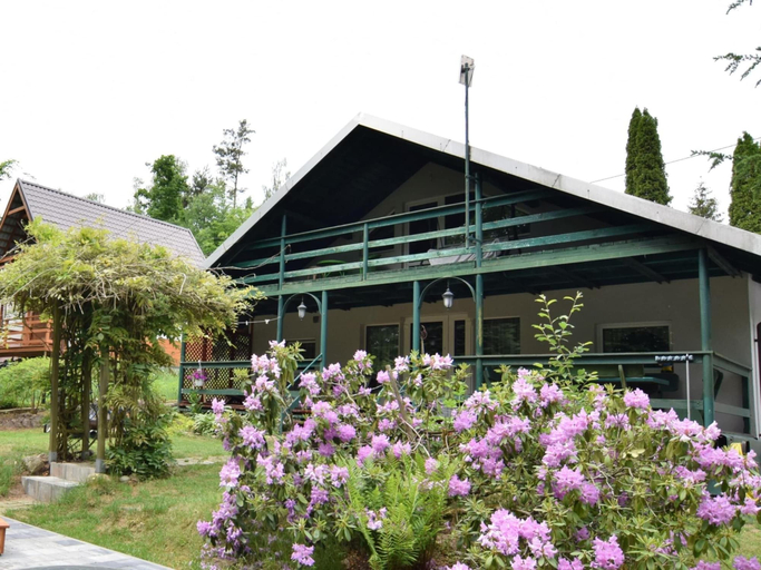Primary image