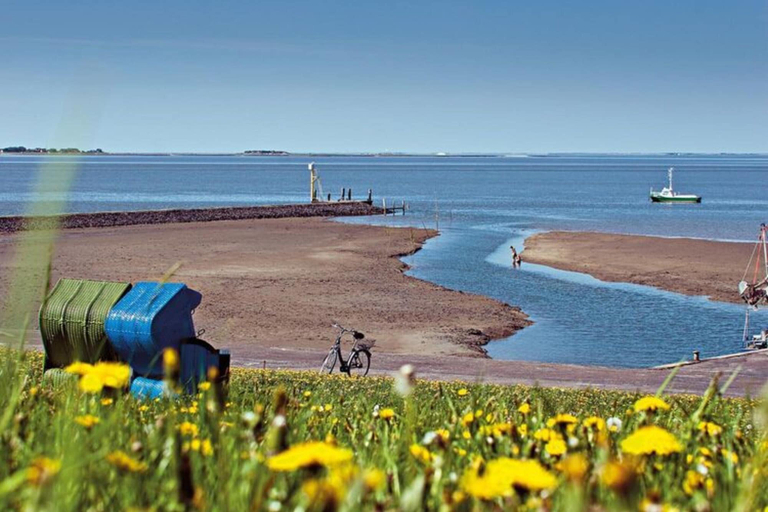 View from property 3, Ferienwohnung im Reetdachhaus auf der Pellworm, Nordfriesland
