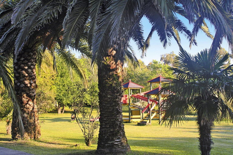 Garden, Apartment With Terrace or Balcony, Haute-Corse