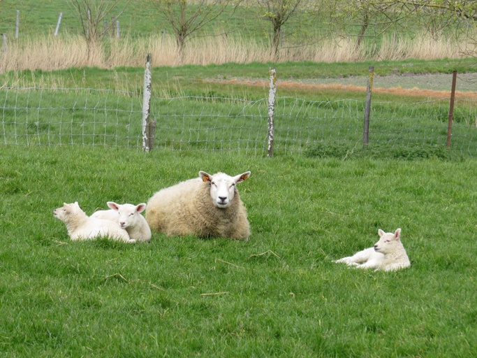 Others 3, Holiday Home 't Hof der Witte Damen, West-Vlaanderen