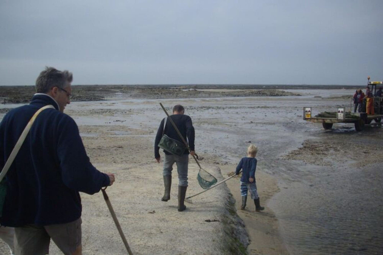 View from property 2, Holiday Home in Gouville Near Sandy Beach, Manche