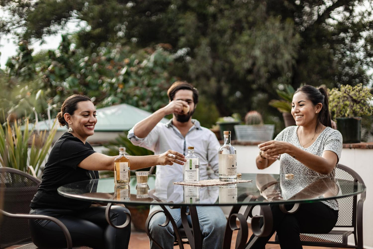 Food & Drinks 4, Hotel Boutique La Cochinilla, Del Centro