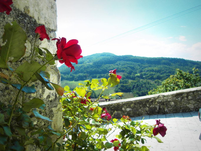 Others 5, Guest House il Borgo di Sempronio, Grosseto
