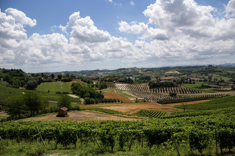 Others 5, Ca' del Profeta Suites & SPA, Asti