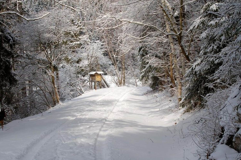 View from property 2, Doppelhaushalfte in Hasselfelde, Harz