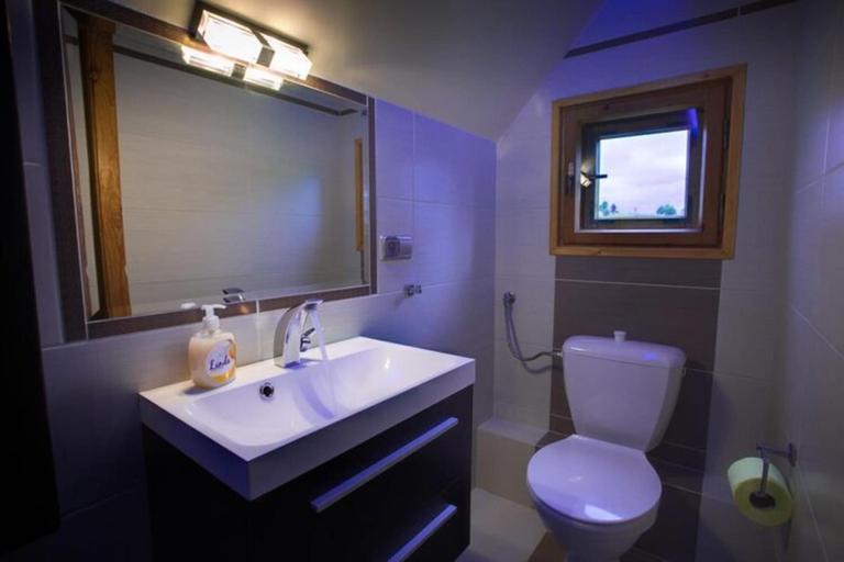 Bathroom 3, Apartment in Masuria With Private Pond, Giżycko