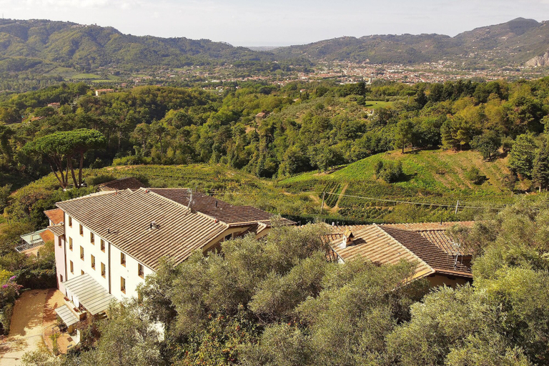 Room 4, Ginepro Grillo in Camaiore, Lucca