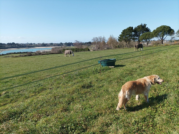 Others 4, Quiet Duplex Apartment in St Briac sur Mer, Ille-et-Vilaine
