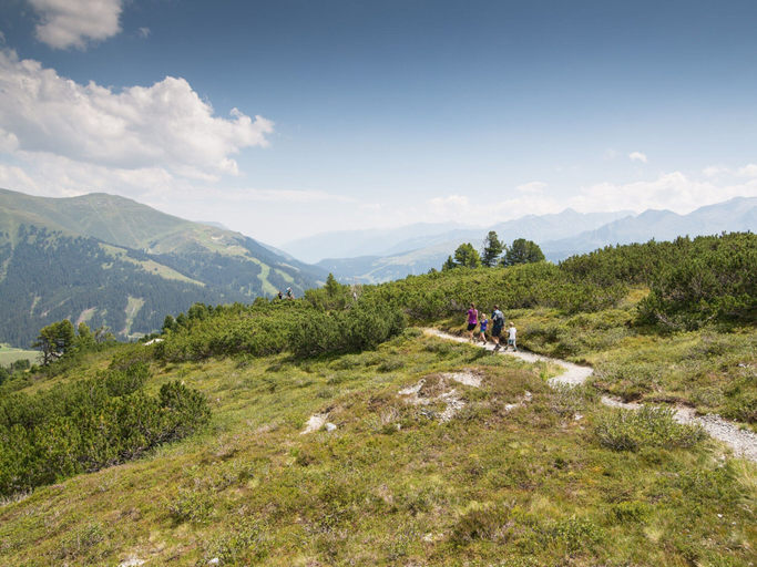 Others 4, Apartment in Krimml With Balcony, Zell am See
