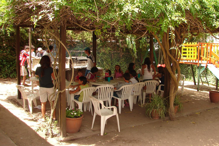 Food & Drinks, Valeria del sol, Pinamar