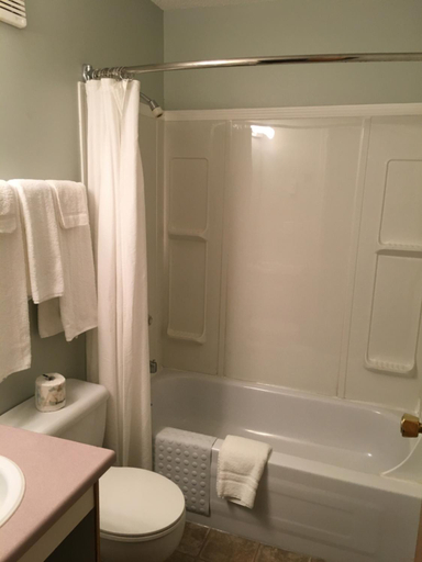 Bathroom 3, Altona Hotel, Division No. 3
