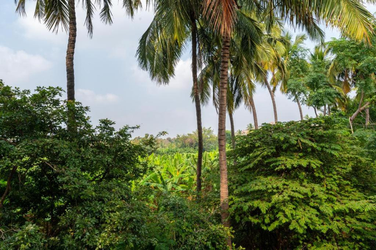 Others 4, Saptami Hampi Homestay, Bellary