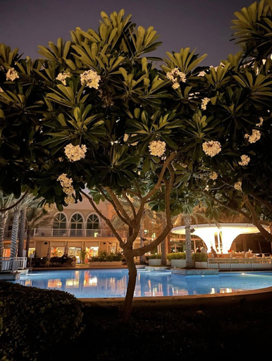Exterior & Views 2, Luxe 1BR w Palm Skyline View Easy Mall Access, Dubai