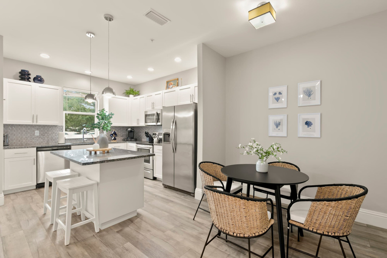 Room 4, NEW Canopy Cabana Luxury Downtown Apt, Pinellas
