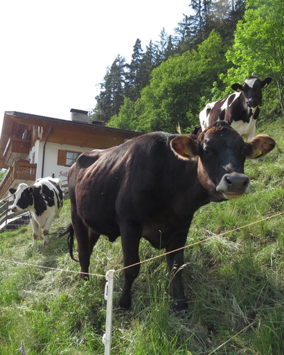 Others 5, Agriturismo Kabishof, Bolzano