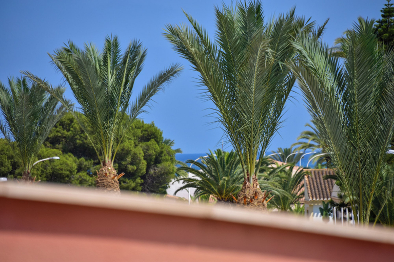 Property grounds 4, Manzanilla Penthouse, Private Jacuzzi & 5min Beach, Almería