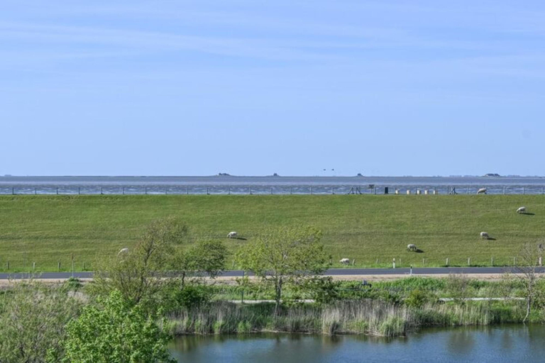 View from property 4, Penthouse am Nordstrand auf dem Deich, Nordfriesland